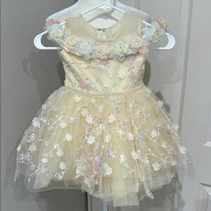 Floral Embellished Cream Princess Dress Tutu Size 4T